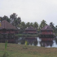 Foto de Guamá