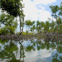 Foto de LOS HAITISES