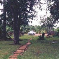 Foto de Guamá
