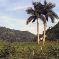 Foto de Trinidad