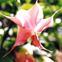 Foto de Amagá, Antioquia