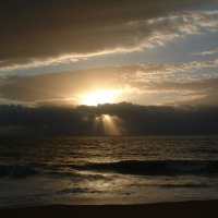 Foto de Algarrobo
