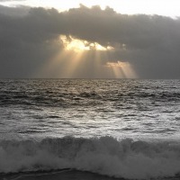 Foto de Algarrobo
