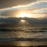Foto de Algarrobo