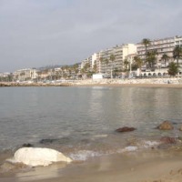 Foto de Cannes