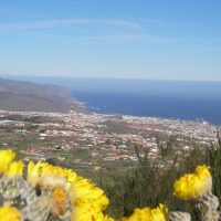 Foto de Santa Cruz de Tenerife