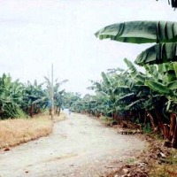 Foto de Apartadó, Antioquia