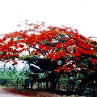 Foto de Apartadó, Antioquia
