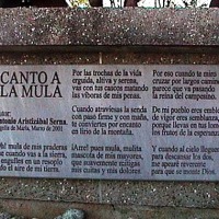Foto de Argelia (Antioquia)
