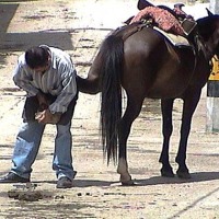 Foto de Argelia (Antioquia)