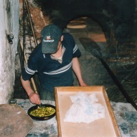 Foto de Tetuán