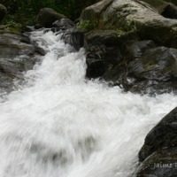 Foto de Cumboto Edo. Aragua