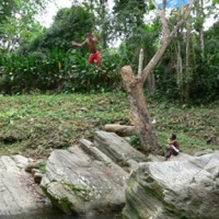 Foto de Cumboto Edo. Aragua