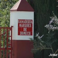 Foto de Jerez de la Frontera