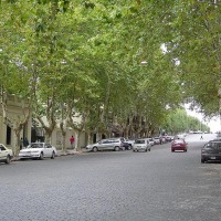 Foto de Colonia