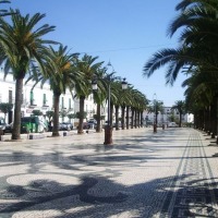 Foto de Olivenza