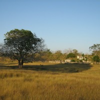 Foto de SAN PEDRO (SUCRE)