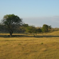 Foto de SAN PEDRO (SUCRE)