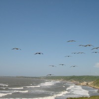 Foto de Salgar (Atlantico)