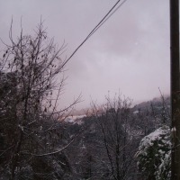Foto de Aramo