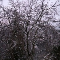 Foto de Aramo