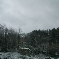 Foto de Aramo