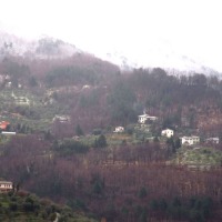 Foto de Aramo