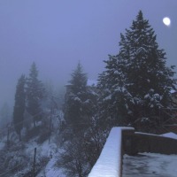 Foto de Aramo