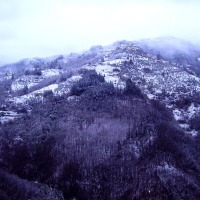 Foto de Aramo