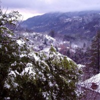 Foto de Aramo