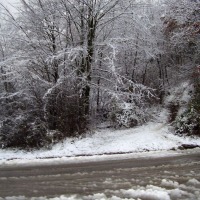 Foto de Aramo