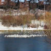 Foto de Louvain la Neuve