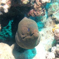 Foto de Mar Rojo