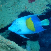 Foto de Mar Rojo