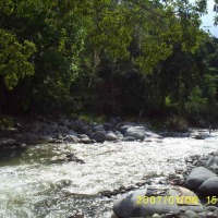 Foto de BUGA