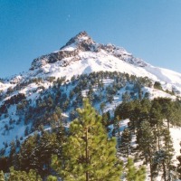 Foto de Zapotlán el Grande