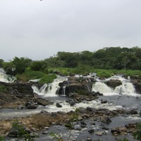Foto de ESTADO BOLIVAR