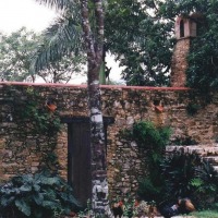 Foto de Las Terrazas