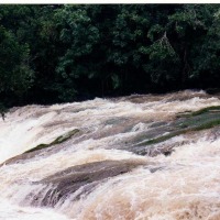 Foto de Las Terrazas