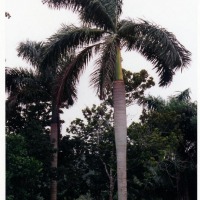 Foto de Las Terrazas
