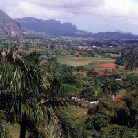 Foto de Viñales