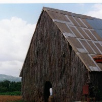 Foto de Viñales