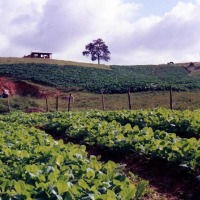 Foto de Viñales