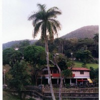 Foto de Las Terrazas