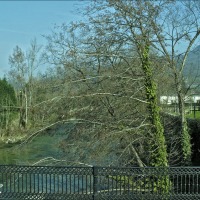Foto de Cangas de Onís