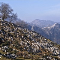 Foto de Covadonga