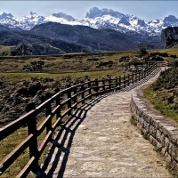 Foto de Covadonga