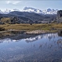 Foto de Covadonga