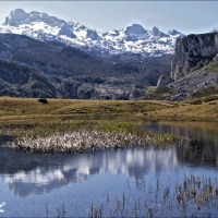 Foto de Covadonga