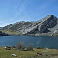Foto de Covadonga